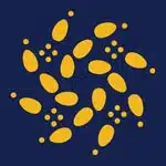 Grupo Maracatu Bloco de Pedra